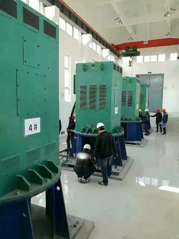 冠县某污水处理厂使用我厂的立式高压电机安装现场品质保证